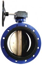 Затвор дисковый поворотный Dendor 021F Ду65 Ру16 фланцевый корпус - чугун, диск - чугун, редуктор