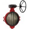 Затвор дисковый поворотный Гранвэл ЗПТЛ-FLN(w)-5-EPDM HT